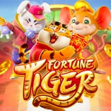 plataforma nova para jogar fortune tiger ícone